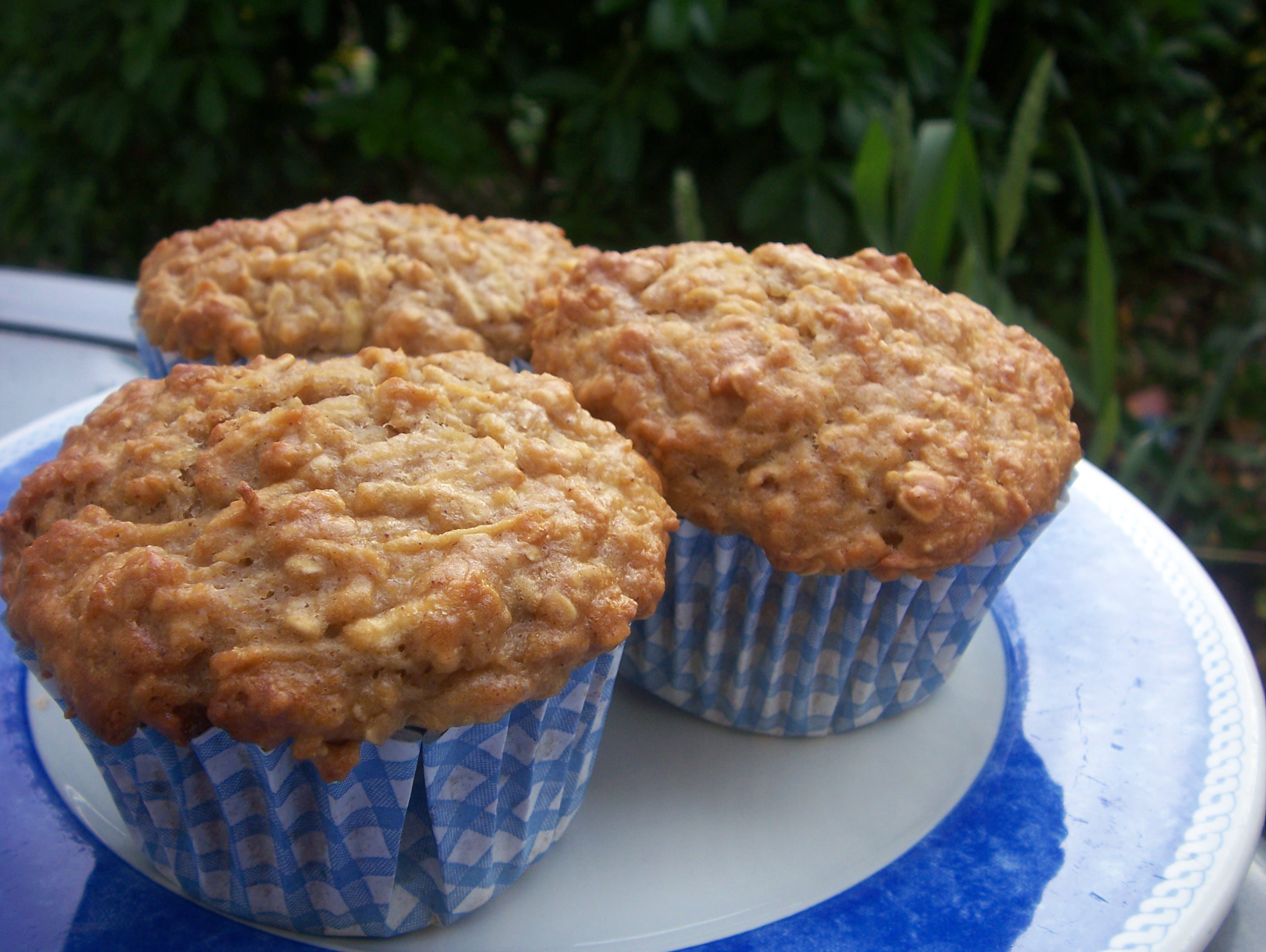 Low Fat Apple Muffin 4